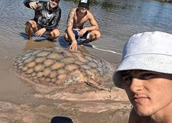 Pescaron una raya de casi 100 kilos en un arroyo entrerriano tras tres horas de pelea