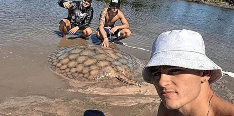 Pescaron una raya de casi 100 kilos en un arroyo entrerriano tras tres horas de pelea