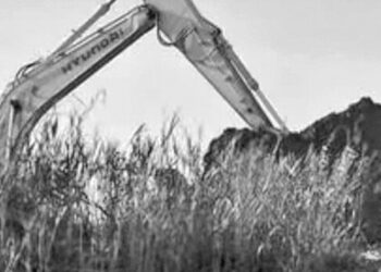 Denuncian endicamientos sin control para secar los humedales