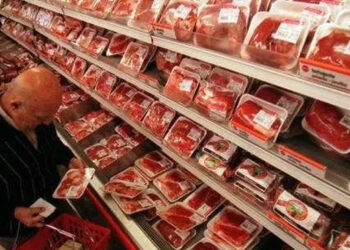 Crisis: el consumo de carne vacuna cayó al nivel más bajo en 20 años