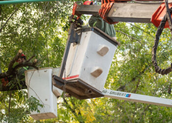 Avanza la ampliación del alumbrado público en Villa Elisa