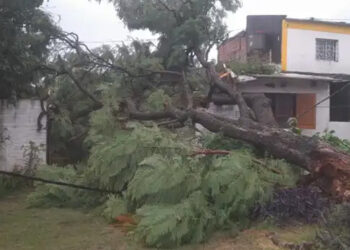 Alerta por vientos fuertes en Entre Ríos: ráfagas del sudoeste podrían alcanzar los 70 km/h