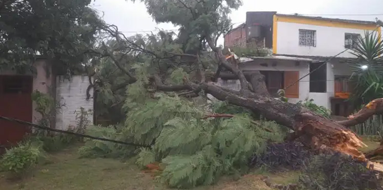 Alerta por vientos fuertes en Entre Ríos: ráfagas del sudoeste podrían alcanzar los 70 km/h