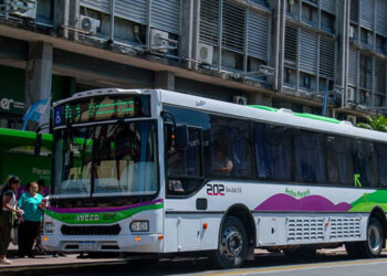 Paraná: Con más unidades en la calle, el sistema de transporte inicia el ciclo lectivo con su esquema fortalecido