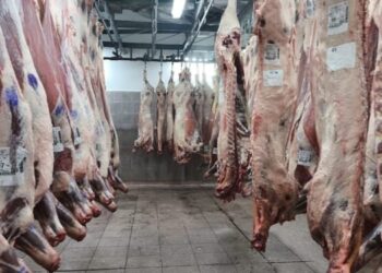 «Tensiones por el precio de la carne: alerta de matarifes por los pagos»