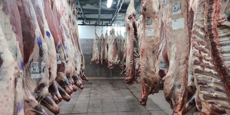 «Tensiones por el precio de la carne: alerta de matarifes por los pagos»