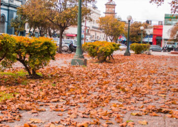 El Otoño se hace nombrar