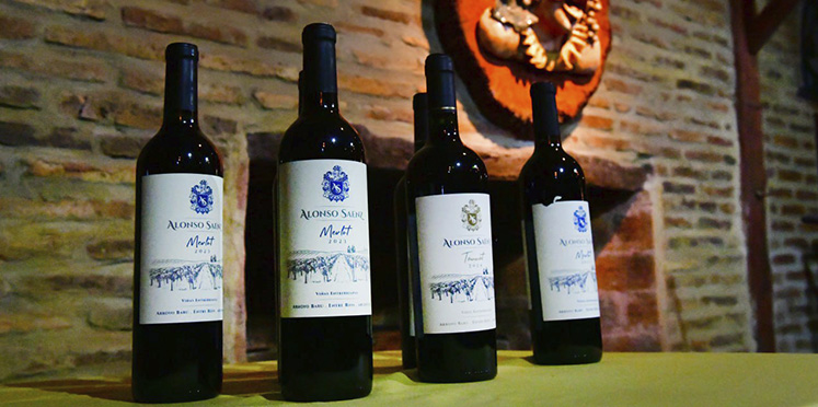 San José: 2° Edición del Foro de Termalismo y Enoturismo