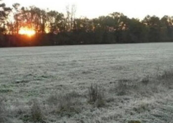 Entre Ríos amaneció este viernes con mínimas de 3.4°C y prevén varios días fríos