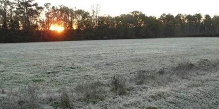 Entre Ríos amaneció este viernes con mínimas de 3.4°C y prevén varios días fríos