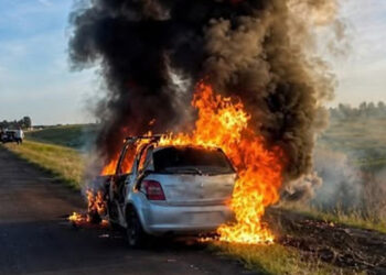 Un desperfecto mecánico provocó la destrucción de un auto en la autovía 14