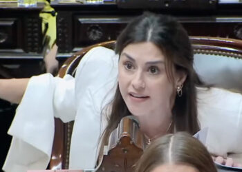 Diputada, ex libertaria, denunció penalmente a Javier Milei