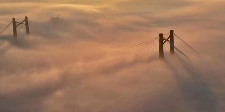 Una densa niebla afecta a Entre Ríos: la humedad llegó al 100%