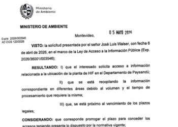 El Gobierno de Uruguay respondió formalmente a Colón por la instalación de la planta de HIF Global