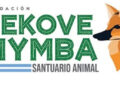 La Provincia fortalece la conservación de fauna junto a la Fundación Tekove Mymba