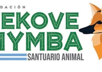 La Provincia fortalece la conservación de fauna junto a la Fundación Tekove Mymba