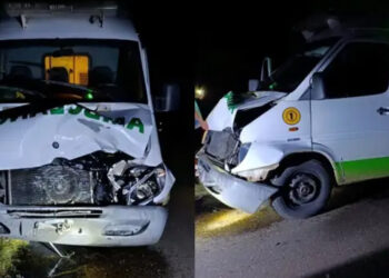 Una ambulancia que iba en urgencia chocó contra una vaca suelta en plena ruta