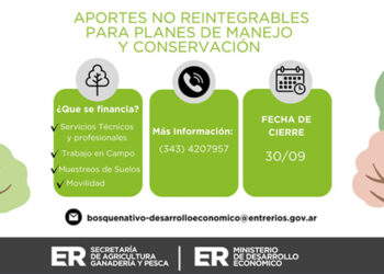 Convocatoria abierta para financiar proyectos de manejo y conservación del bosque nativo