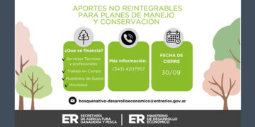Convocatoria abierta para financiar proyectos de manejo y conservación del bosque nativo