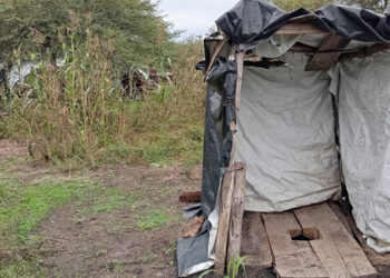 Detectan trabajadores rurales viviendo en condiciones precarias en un campo de Villaguay