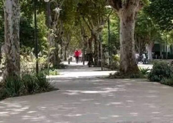 «Clima Soleado con 11°C en Colón Entre Ríos»