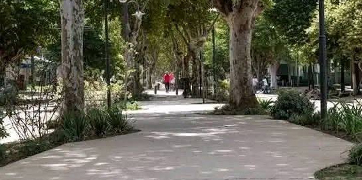 «Clima Soleado con 11°C en Colón Entre Ríos»