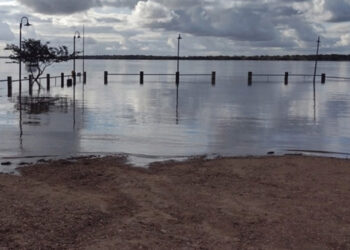 Río Uruguay: la creciente no da tregua y los niveles altos seguirán