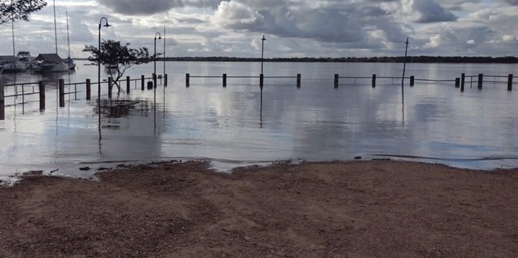Río Uruguay: la creciente no da tregua y los niveles altos seguirán