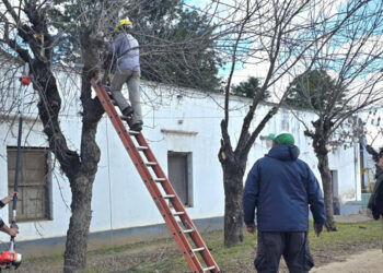 Comenzó el Plan de Poda Correctiva en Pueblo Liebig