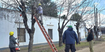 Comenzó el Plan de Poda Correctiva en Pueblo Liebig