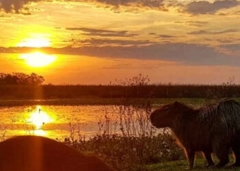 «Tremendo frío, pero soleado, -3°C en la tierra del turismo y los palmares, Colón Entre Ríos»