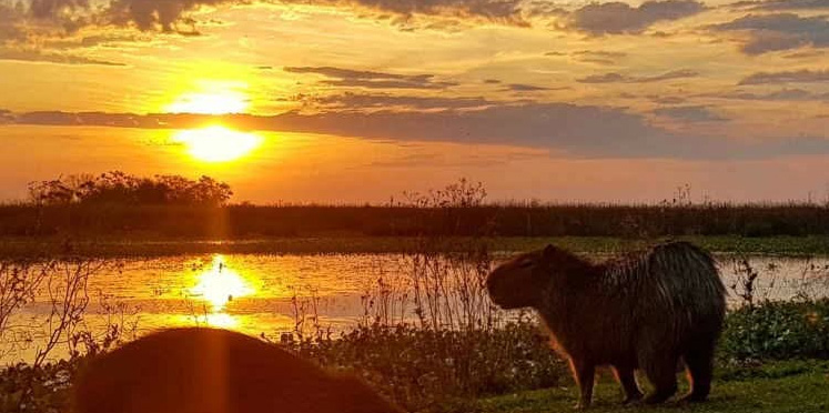 «Tremendo frío, pero soleado, -3°C en la tierra del turismo y los palmares, Colón Entre Ríos»