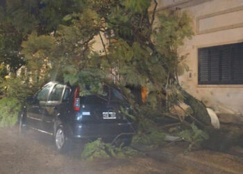 «Fuertes ráfagas de viento y lluvia azotaron el departamento Colón»