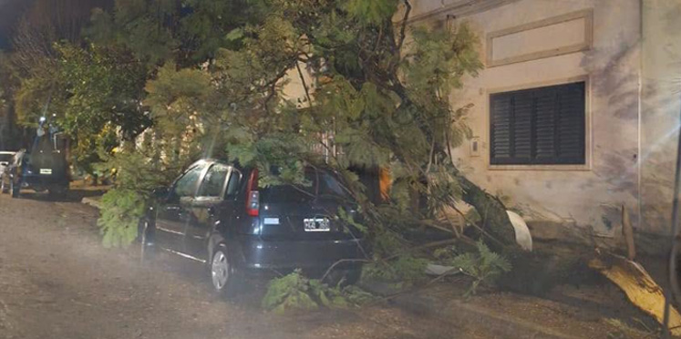 «Fuertes ráfagas de viento y lluvia azotaron el departamento Colón»
