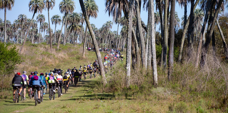 CICLOTURISMO 2026. Una aventura sobre ruedas en El Palmar