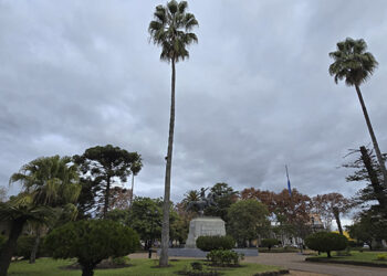 «Hoy martes clima nublado y frío en la tierra de palmares, Colón Entre Ríos»