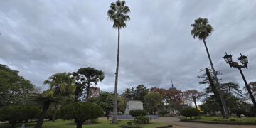 «Hoy martes clima nublado y frío en la tierra de palmares, Colón Entre Ríos»