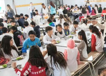 La Justicia ordenó proteger la alimentación escolar y dos horas después habilitó la apelación del Gobierno