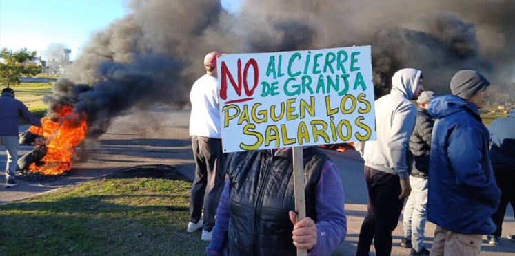 Crisis en Granja Tres Arroyos: sindicato rechaza indemnizaciones al 50% y exige responsabilidad a directivos