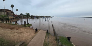 “Continúa creciendo el Río Uruguay: Colón alcanzó el nivel de alerta y hay preocupación en la meca de las artesanías»