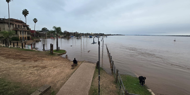 “Continúa creciendo el Río Uruguay: Colón alcanzó el nivel de alerta y hay preocupación en la meca de las artesanías»