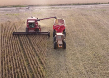 Estadísticas revelan que la provincia logró el mejor rendimiento agrícola de los últimos 25 años