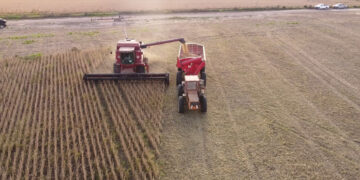 Estadísticas revelan que la provincia logró el mejor rendimiento agrícola de los últimos 25 años