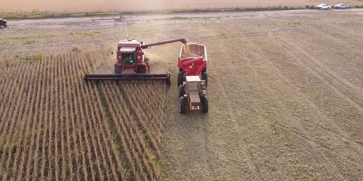 Estadísticas revelan que la provincia logró el mejor rendimiento agrícola de los últimos 25 años