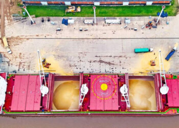 Nueva exportación a Dinamarca de harina de soja genéticamente no modificada desde Entre Ríos
