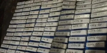 Condenaron a un empleado municipal de Colón por almacenar casi 80 kilos de marihuana