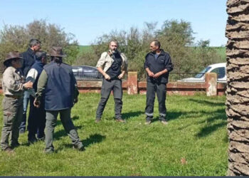 Se activó la comisión local en Colonia Elía por la presencia de Picudo Rojo