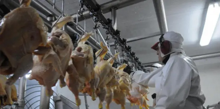 Granja Tres Arroyos paralizó otra planta de faena avícola y crece la preocupación de los trabajadores
