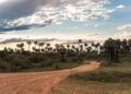«Hoy Domingo, clima entre nubes y claros, sin lluvias, el río sigue creciendo cerquita de niveles de alerta, en la costa colonense»