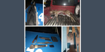 Secuestraron un arma y un ciervo axis abatido en Colonia Elía